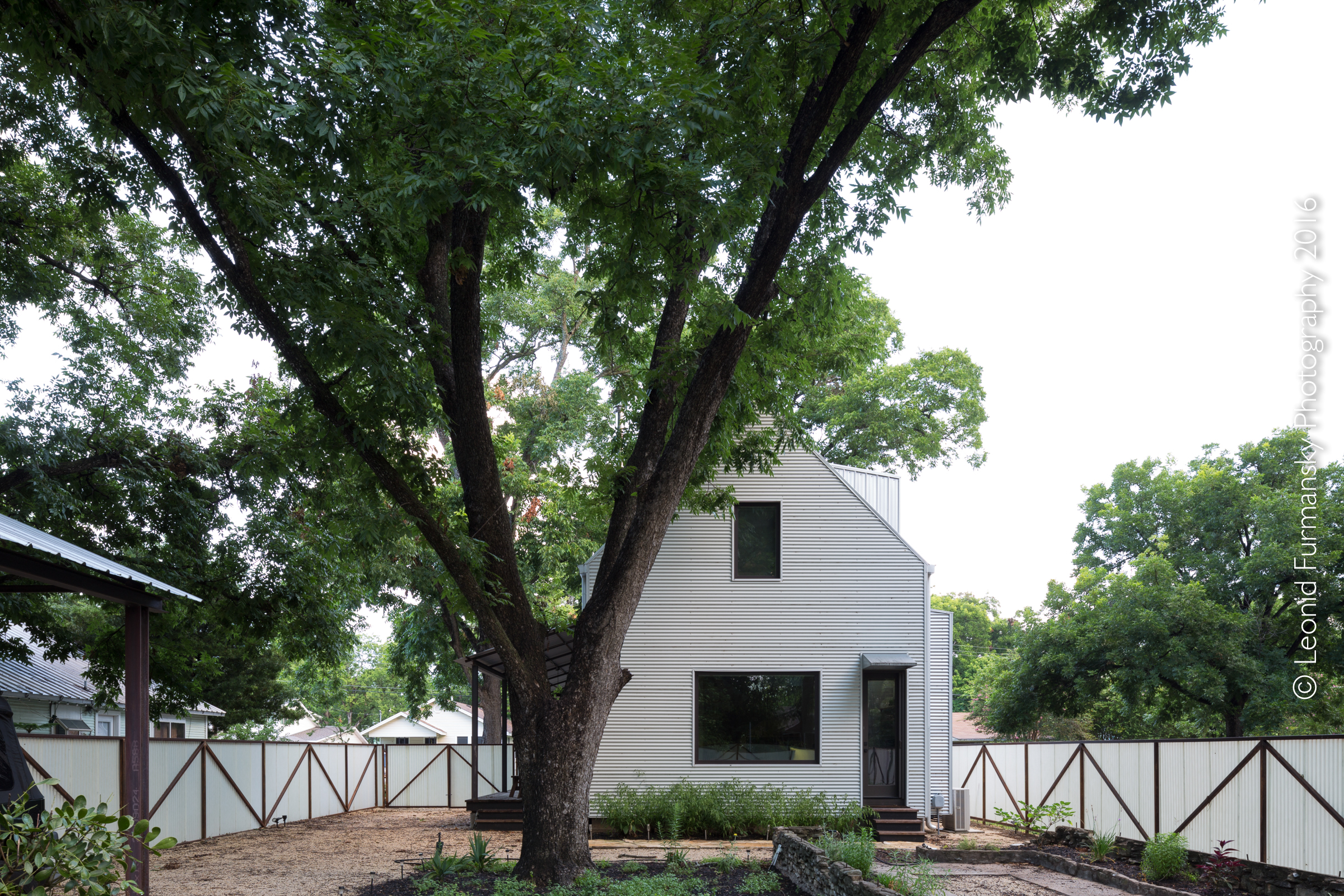 Perfect Wall house: Exterior, rear elevation and heritage oak tree.