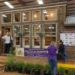 Tiny Homes Showcase home. Image: Digitized House