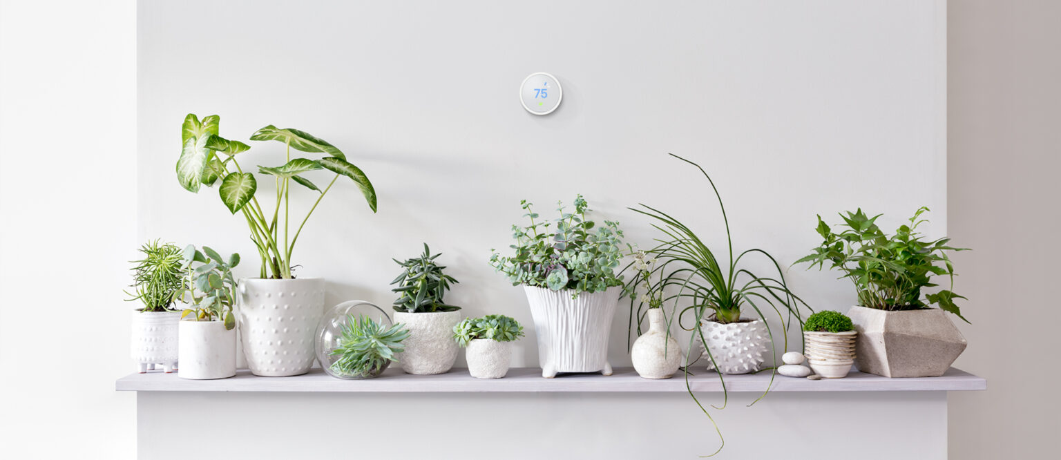 Day 3 of 12 Smart Gifts: Nest Thermostat E. Image: Nest