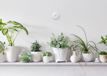 Day 3 of 12 Smart Gifts: Nest Thermostat E. Image: Nest