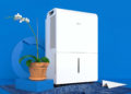 A dehumidifier, such as the portable hOmeLabs unit shown here, can go a long way toward making your home a healthier place. Image: hOmeLabs.