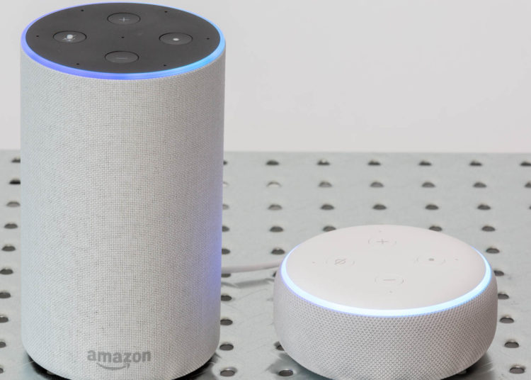 Amazon Echo and Echo Dot. Image: Digitized House.