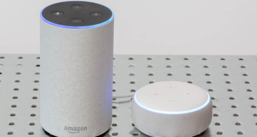 Amazon Echo and Echo Dot. Image: Digitized House.