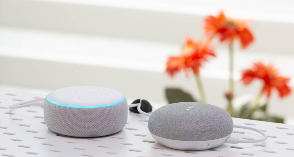 Amazon Echo Dot and Google Home Mini speakers. Image: Digitized House.