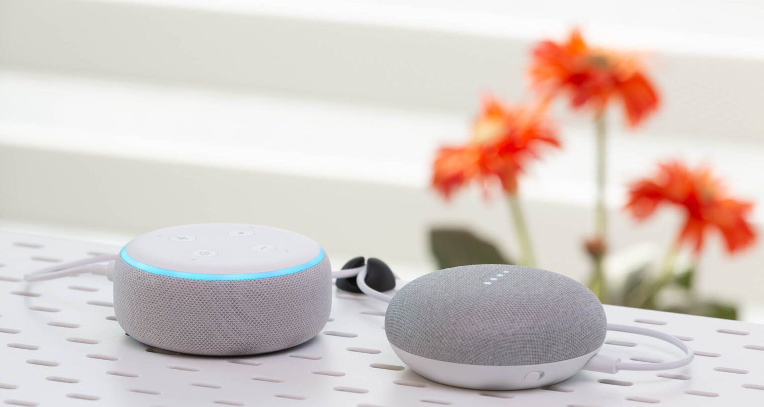 Amazon Echo vs. Google Home Mini Speakers. Image: Digitized House Media.