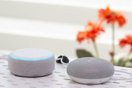 Amazon Echo vs. Google Home Mini Speakers. Image: Digitized House Media.
