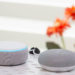 Amazon Echo vs. Google Home Mini Speakers. Image: Digitized House Media.