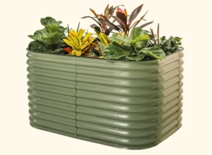 Top Prime Day 2 Home Product Picks